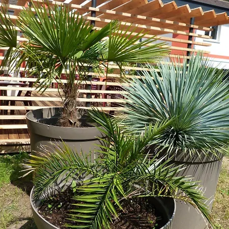 Arbor - Les Hunaudieres - Le Mans Sud - ホテル