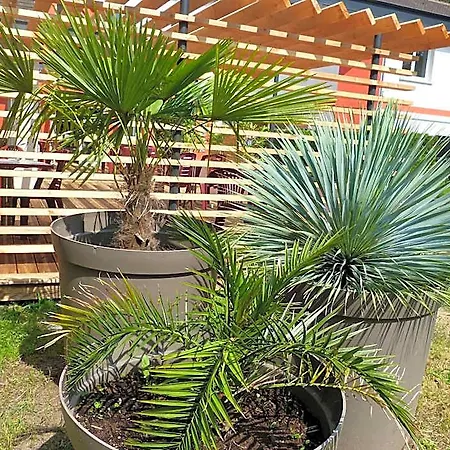 Arbor - Les Hunaudieres - Le Mans Sud - Hotel Mulsanne