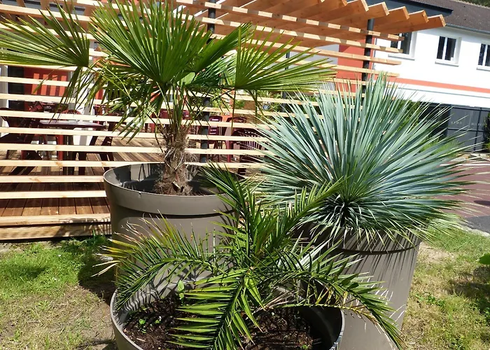 Arbor - Les Hunaudieres - Le Mans Sud - Hotel